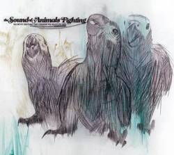 The Sound Of Animals Fighting : We Must Become the Change We Want to See